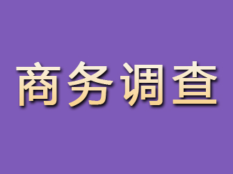 吉安商务调查